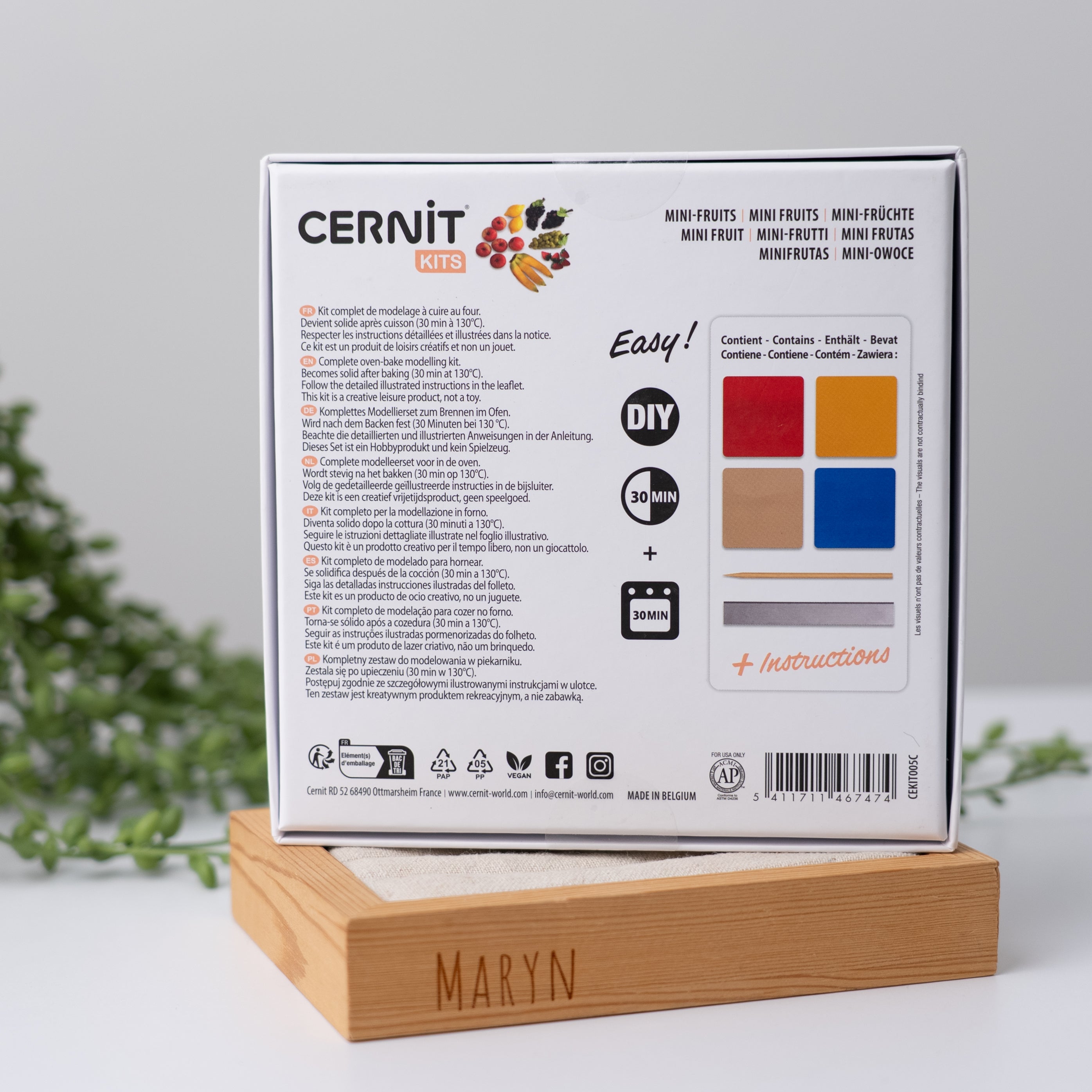 NEW!! Cernit Starter Kit "Fruit Miniatures"