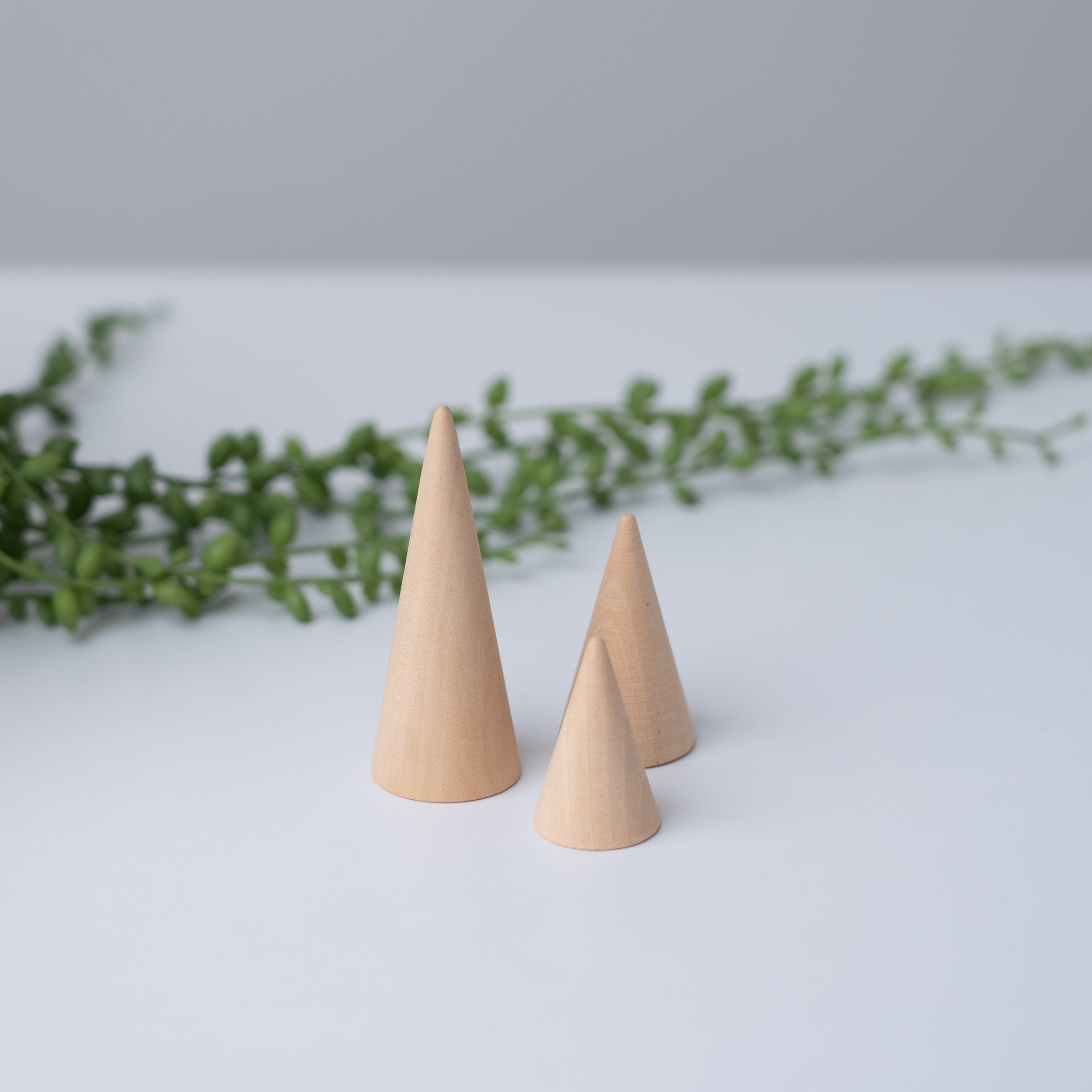 Display set "Ring Cone"