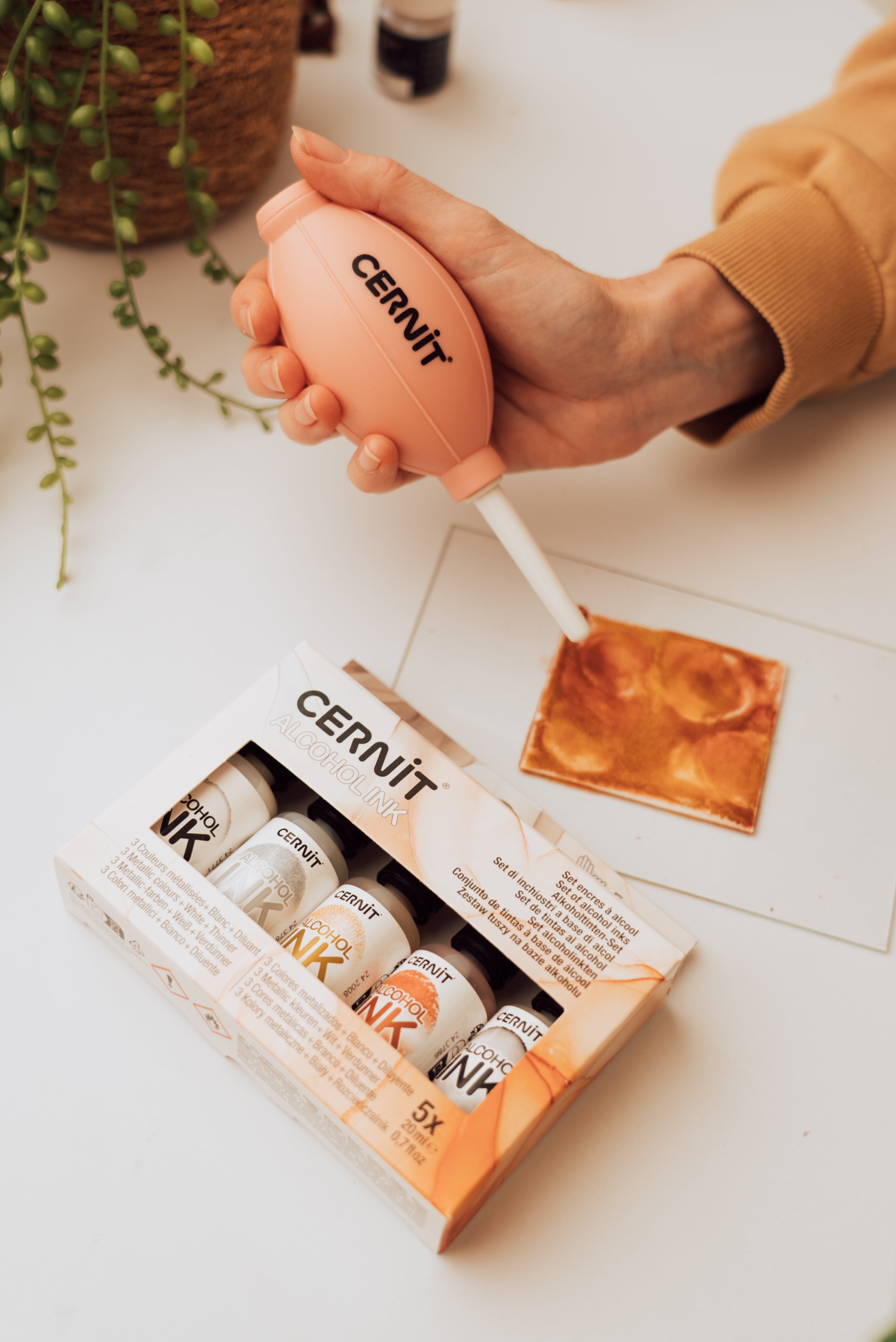 Boîte à encre Cernit (4 options)