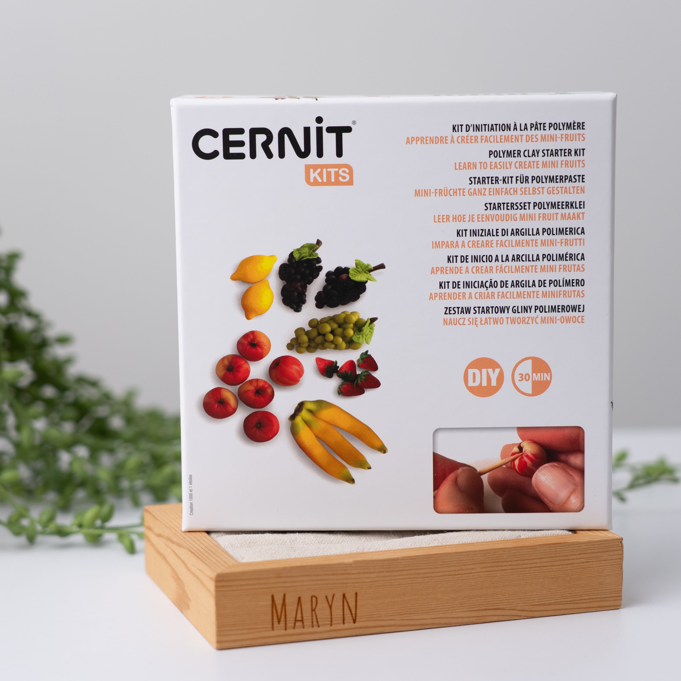 NEW!! Cernit Starter Kit "Fruit Miniatures"