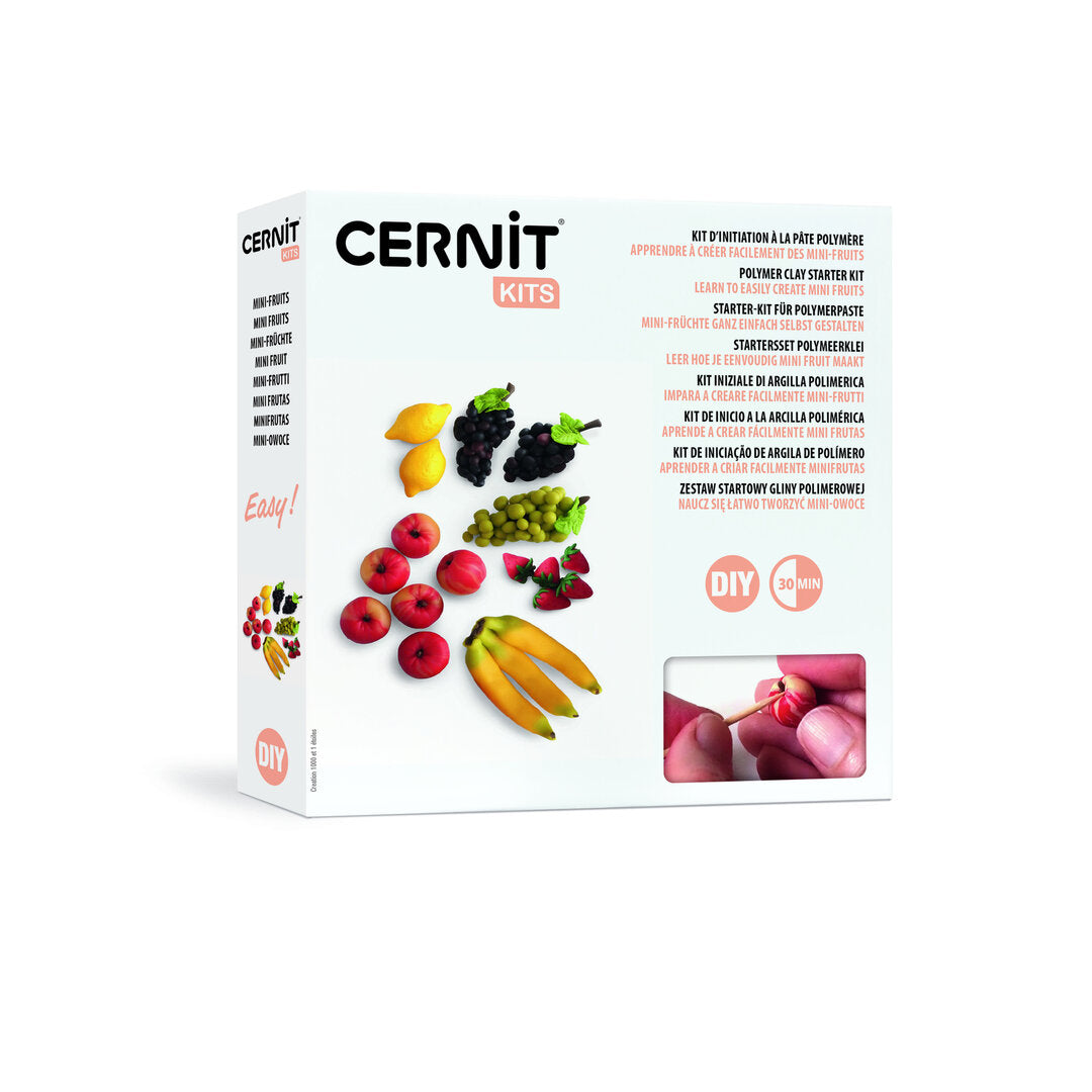 NEW!! Cernit Starter Kit "Fruit Miniatures"