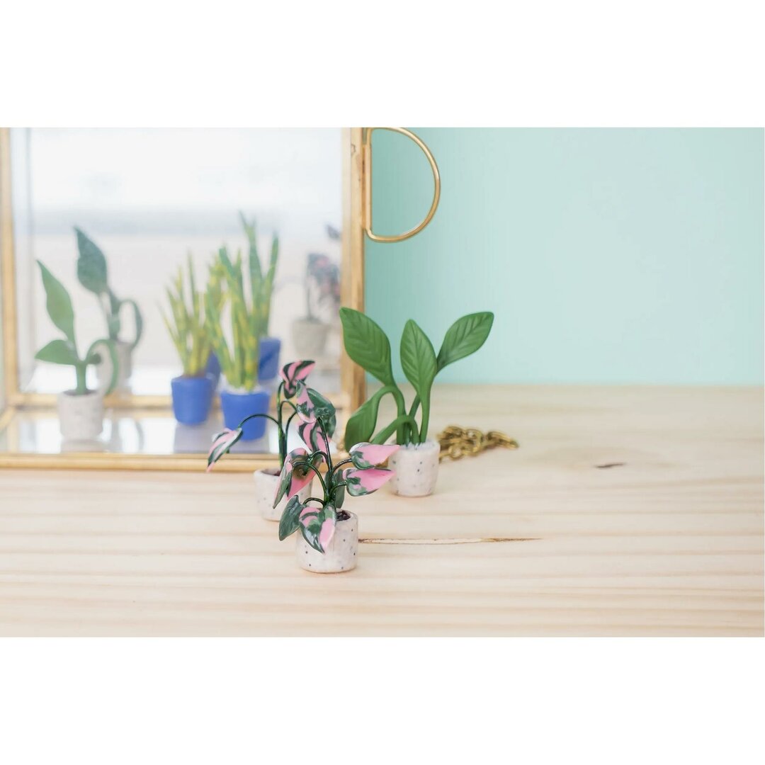 NEW!! Cernit Starter Kit "Tiny Plants"