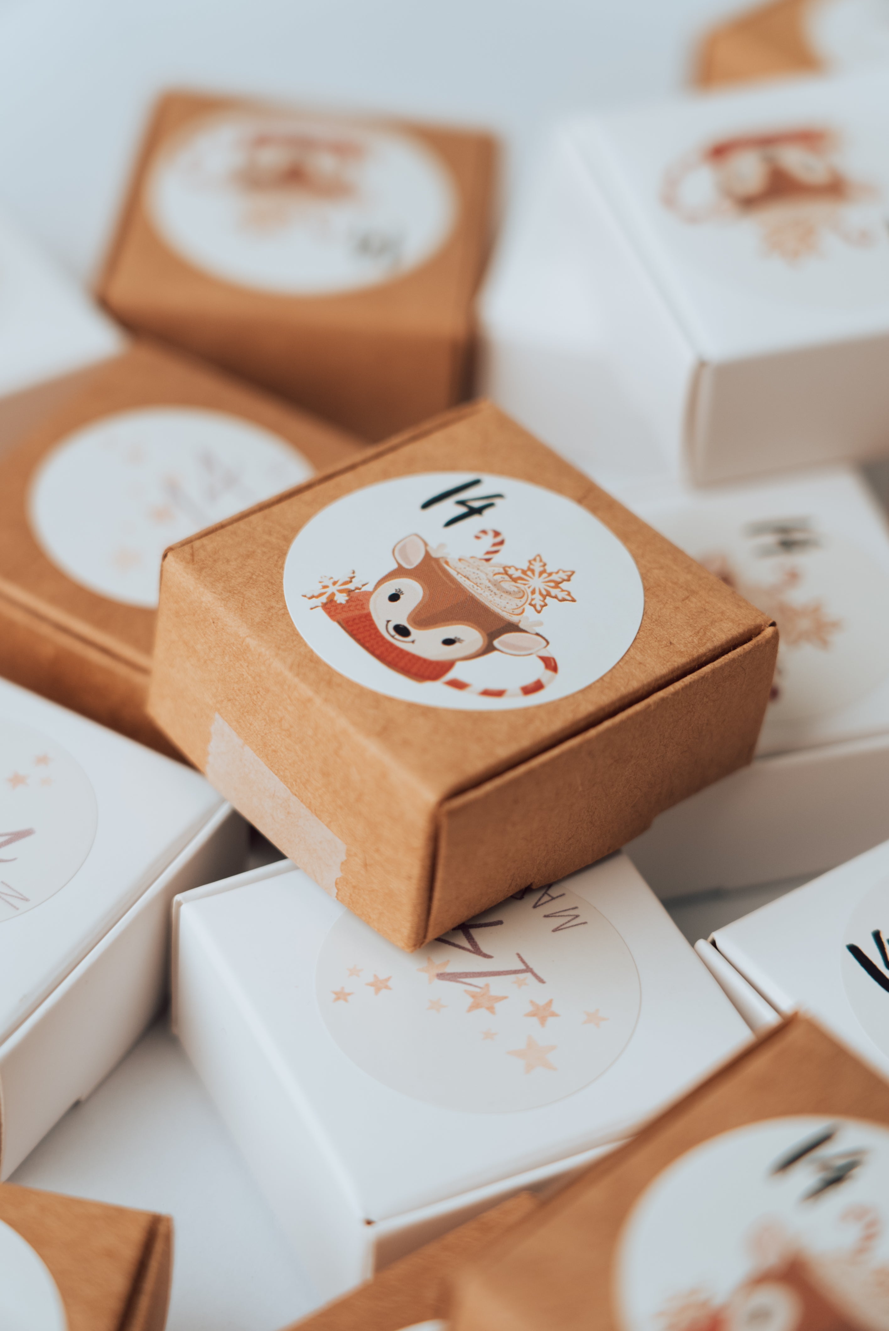 Luxe Advent Box 2025