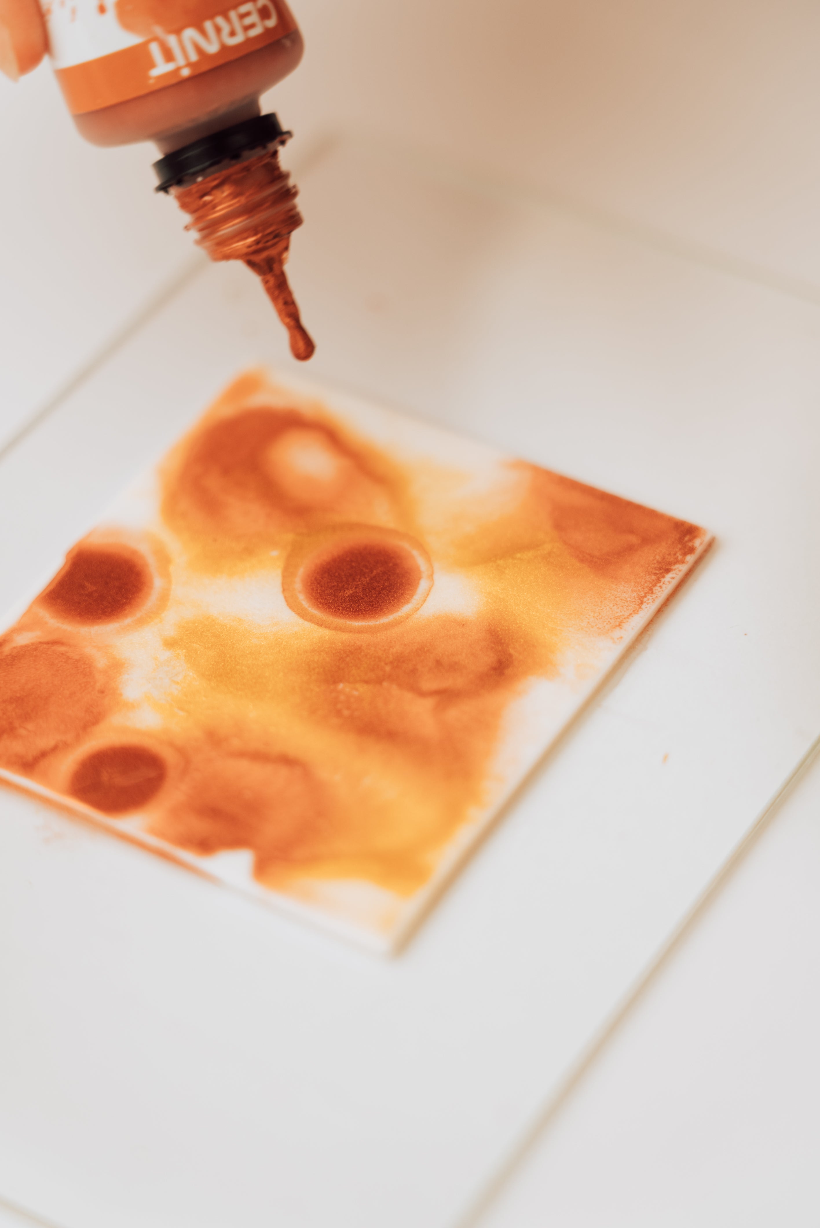 Cernit ink box (4 opties)