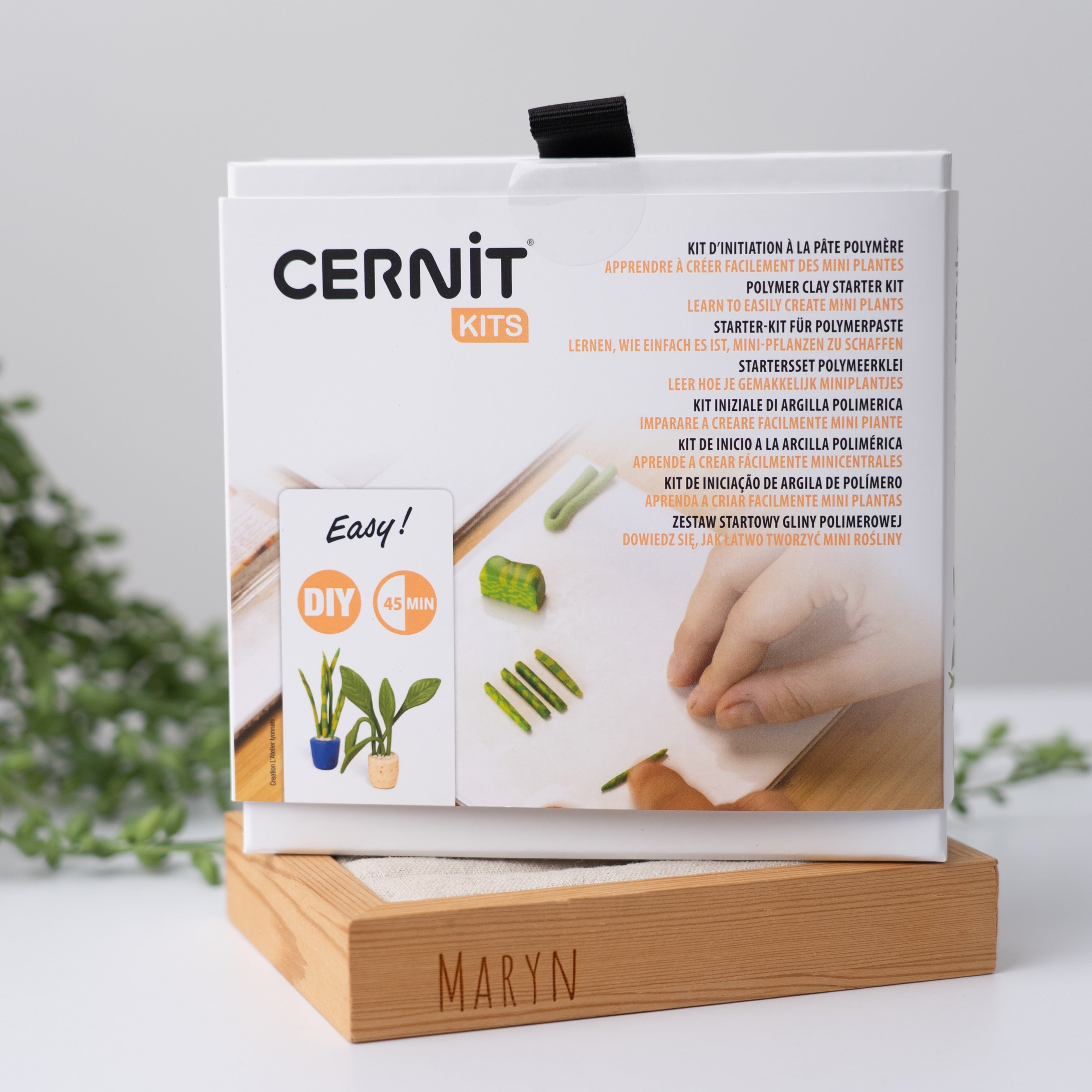 NEW!! Cernit Starter Kit "Tiny Plants"